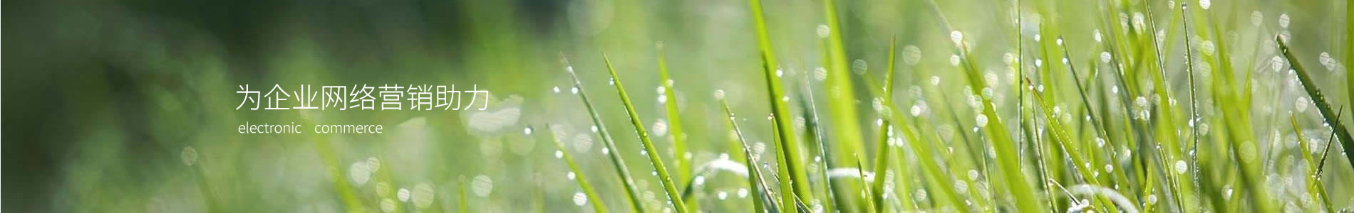 ݿţӿƼ޹˾